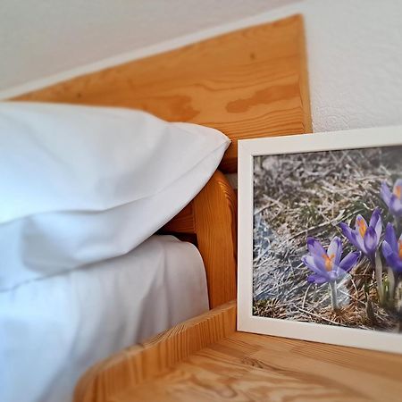 Przy Szlaku Zakopane Centrum Pokoje & Apartamenty Ngoại thất bức ảnh