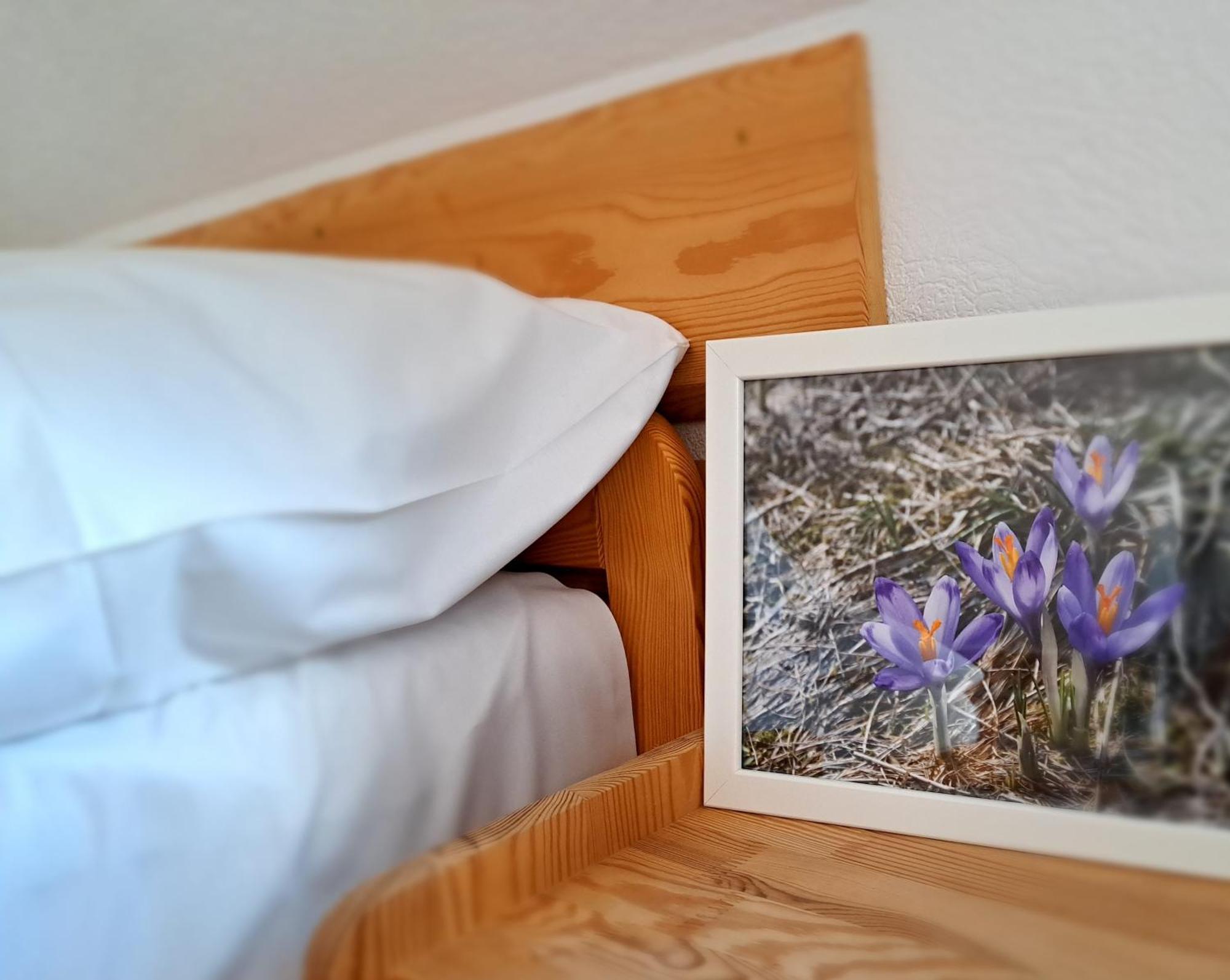 Przy Szlaku Zakopane Centrum Pokoje & Apartamenty Ngoại thất bức ảnh