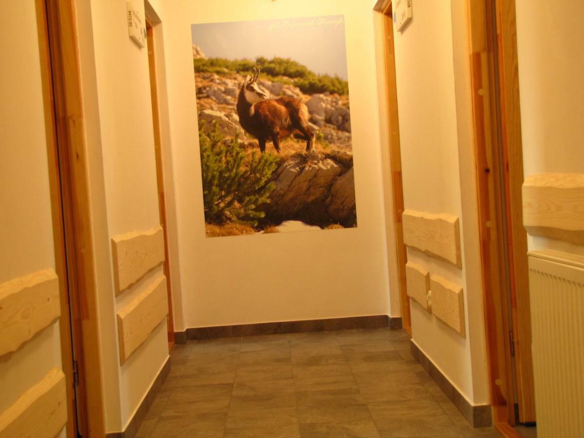 Przy Szlaku Zakopane Centrum Pokoje & Apartamenty Ngoại thất bức ảnh