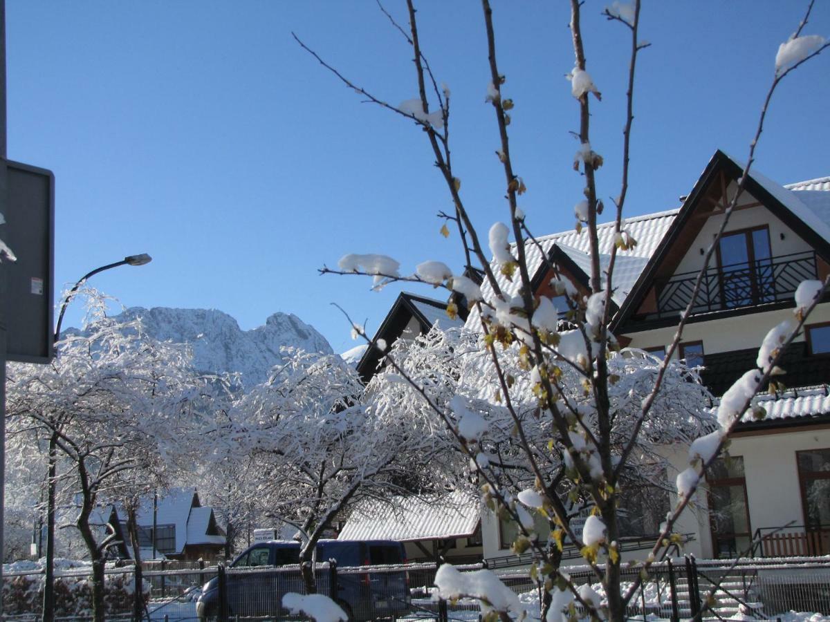 Przy Szlaku Zakopane Centrum Pokoje & Apartamenty Ngoại thất bức ảnh